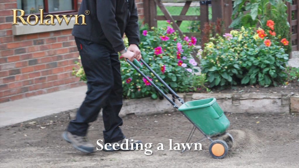 Info centre - seeding a lawn